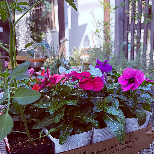 chacoさんの部屋