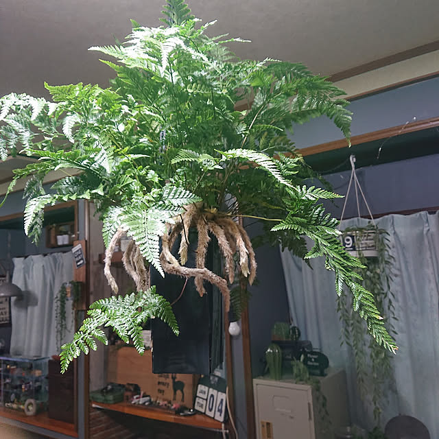 tikuwaさんの実例写真