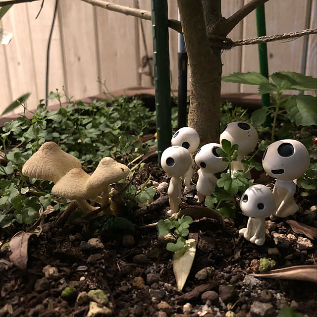 oozorataiga1さんの実例写真