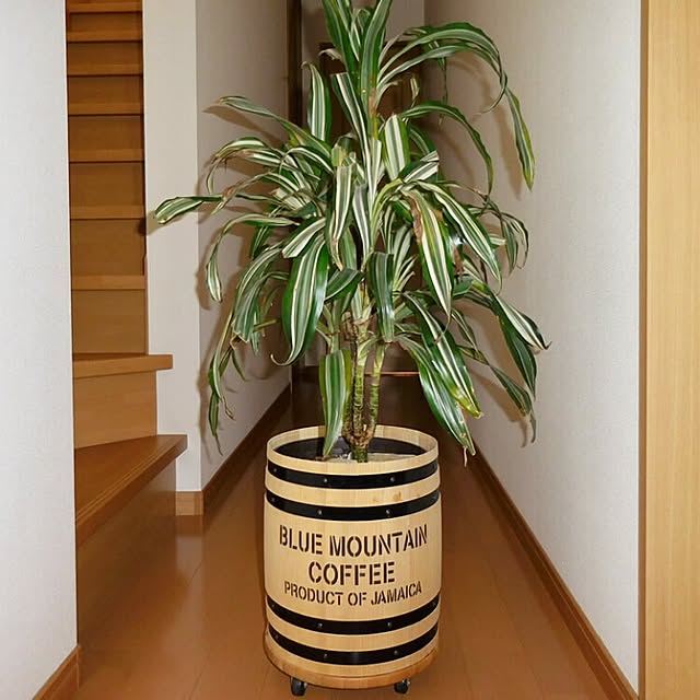 carbonaraさんの実例写真