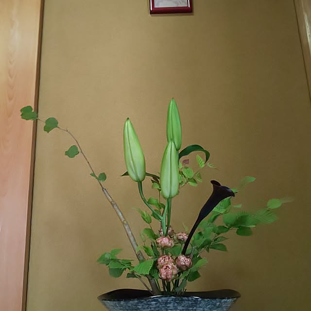 CassiyCocoさんの部屋