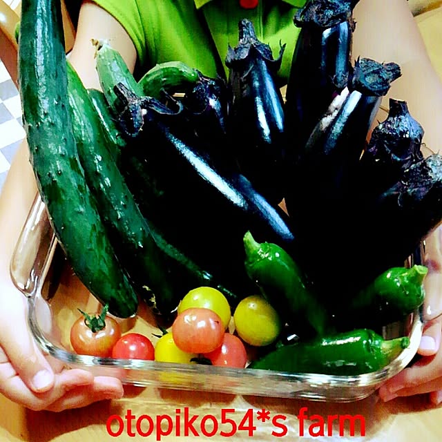 otopiko54さんの実例写真