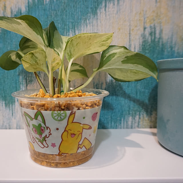 asさんの部屋