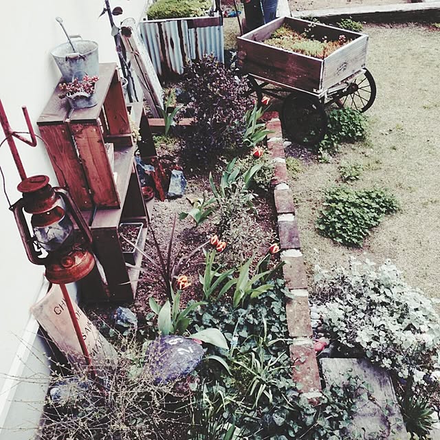 mauveさんの実例写真