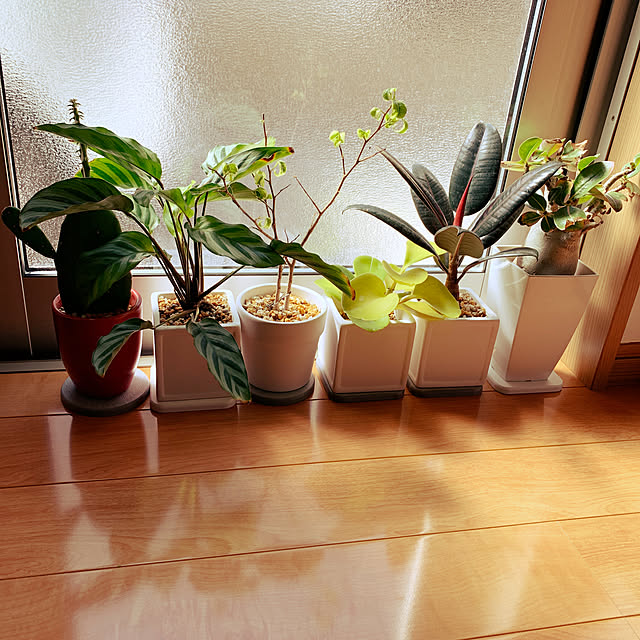 akiさんの実例写真