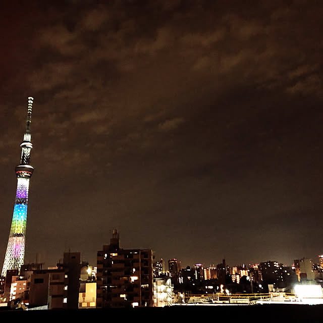 実例写真