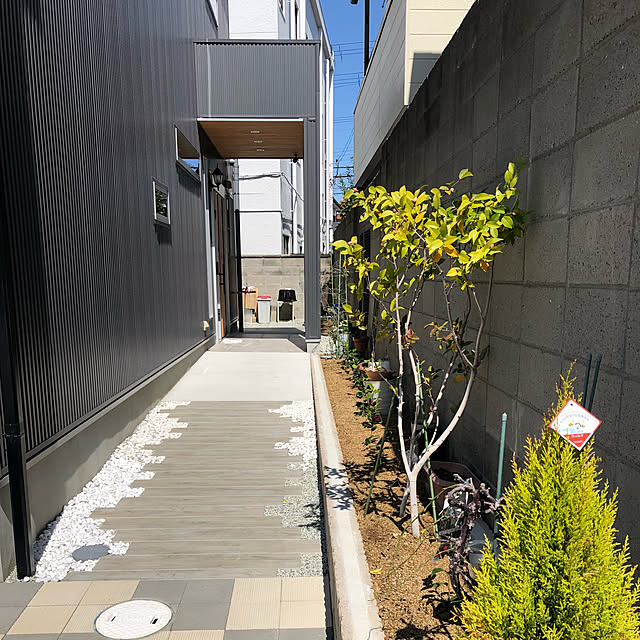 実例写真