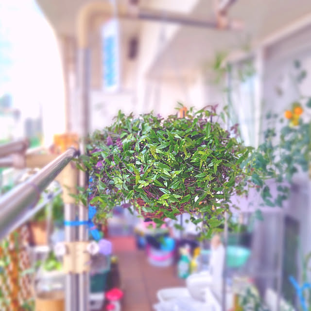 mariaさんの実例写真