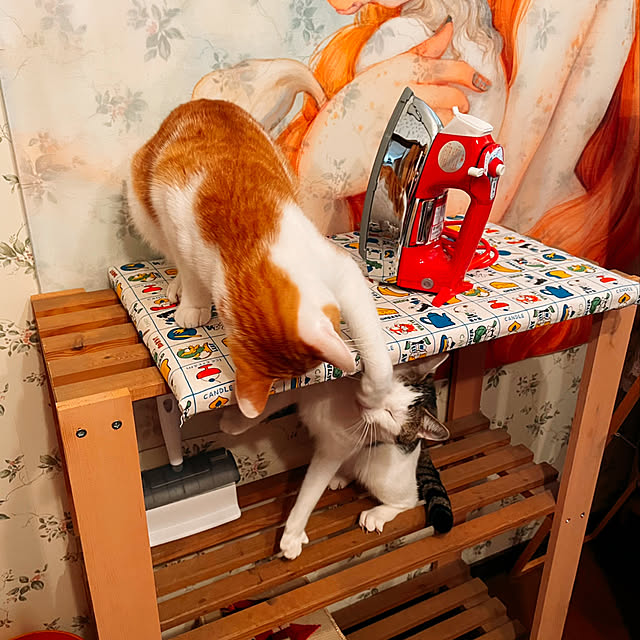 meさんの実例写真