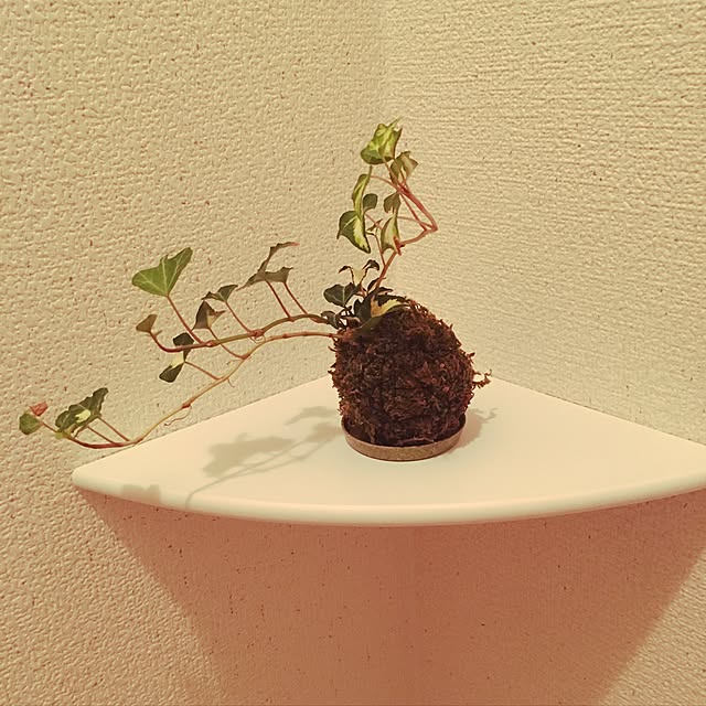 Yuumiさんの実例写真