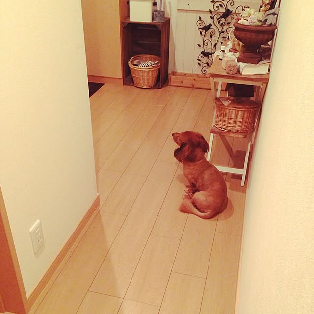 PINECORNさんの実例写真