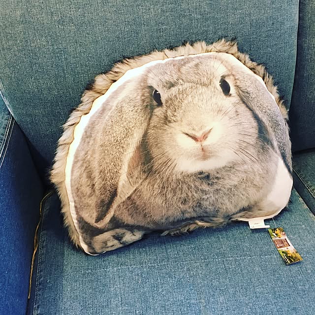 minaminaさんの実例写真