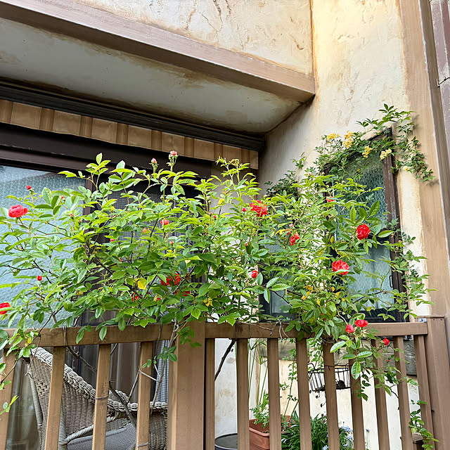 tabasaさんの部屋