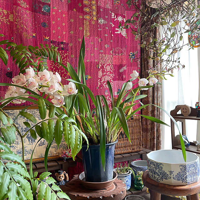 shin0719さんの実例写真