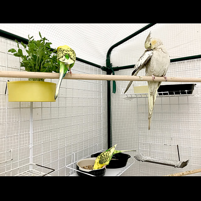 qooguriさんの実例写真