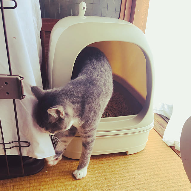 Oreoさんの実例写真