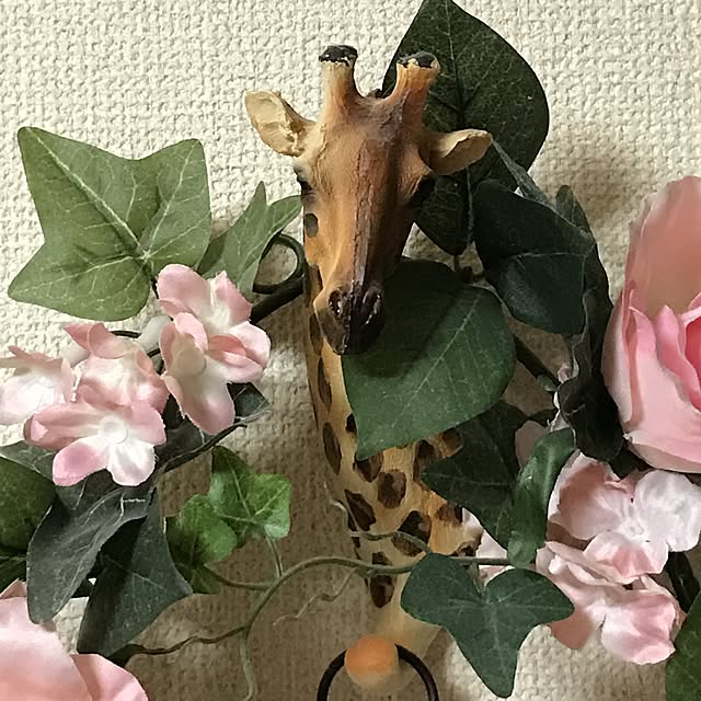 masamiさんの実例写真