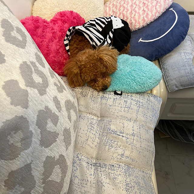 makiさんの実例写真