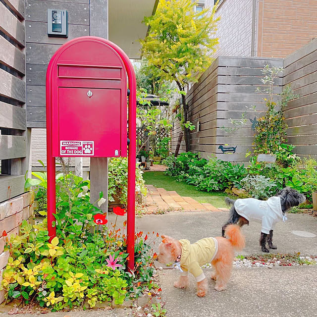 実例写真