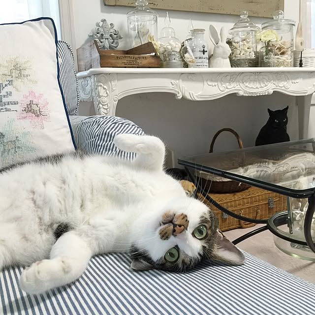 yuchiさんの実例写真