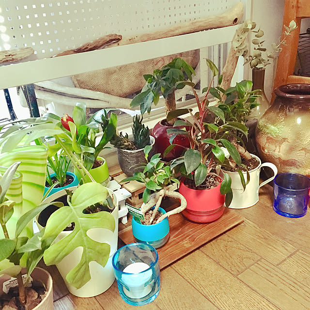 shinrystoneさんの実例写真