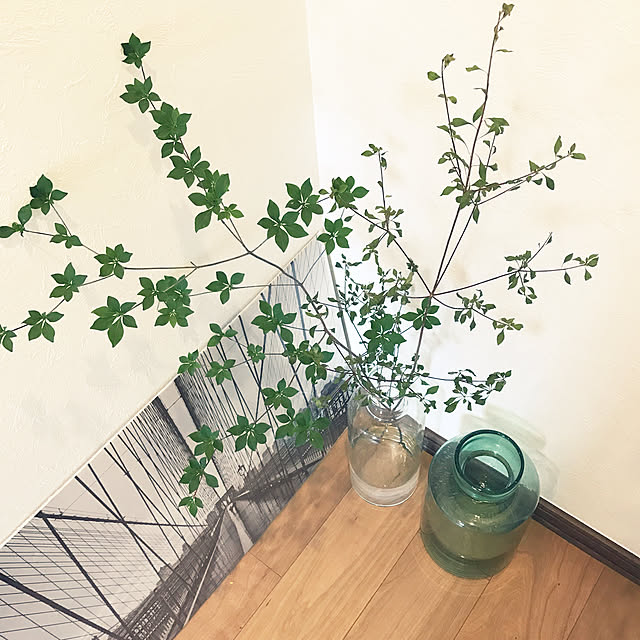 yuki_s_さんの実例写真