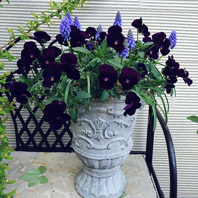 makotomosukeさんの実例写真