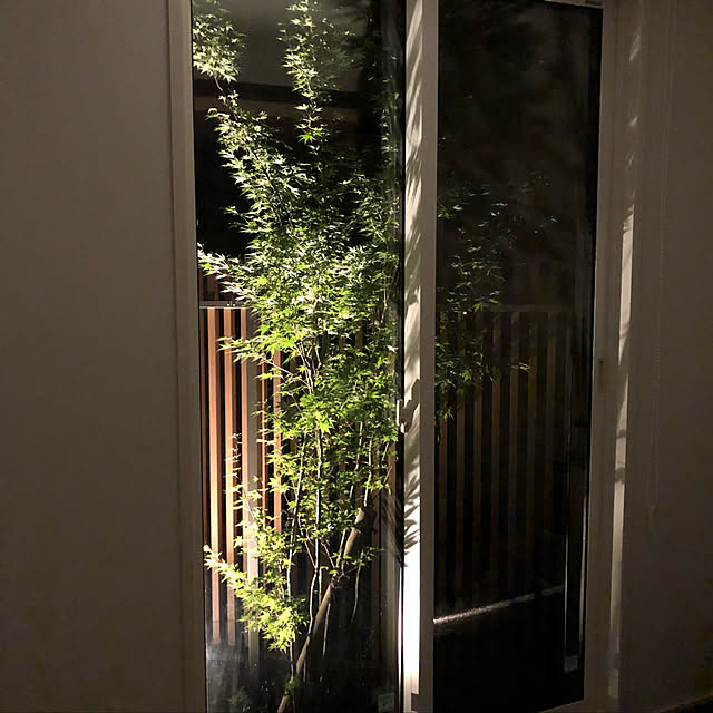 和/植栽ライトアップ/寝室/部屋全体のインテリア実例 - 2019-07-03 21:00:46