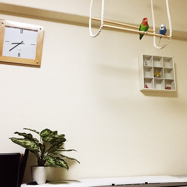 toratanさんの実例写真