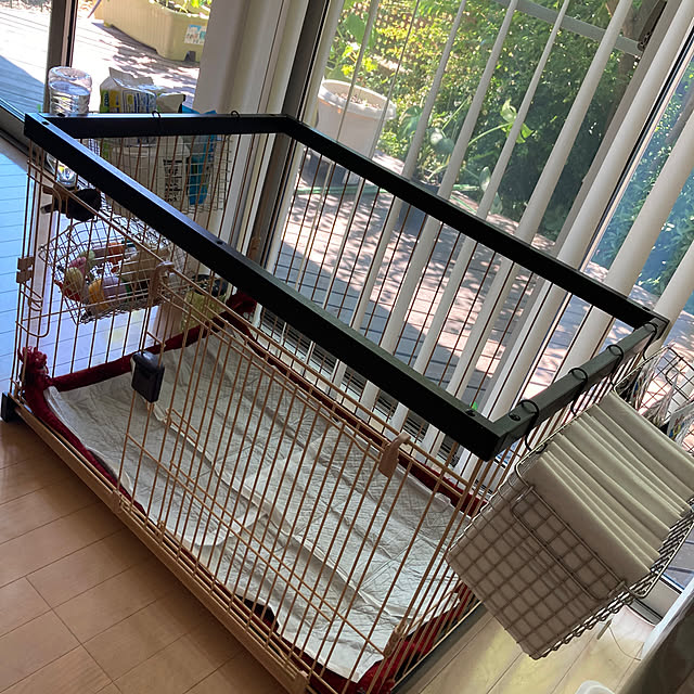 funky_ayankeeさんの部屋