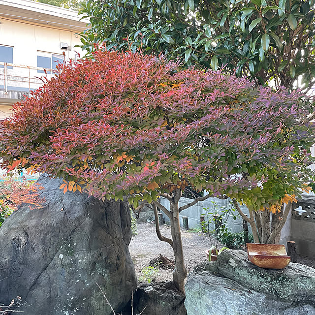 shin0719さんの部屋