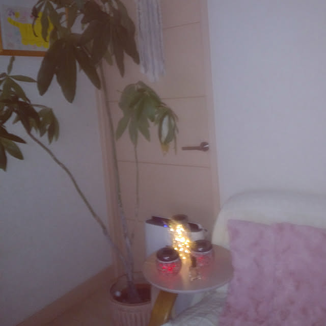 myprinceryuさんの実例写真