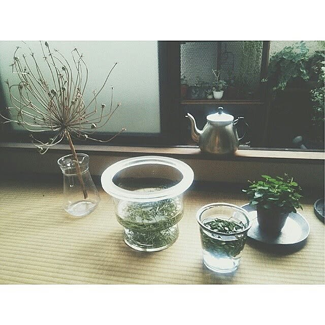 cata_coto_さんの実例写真
