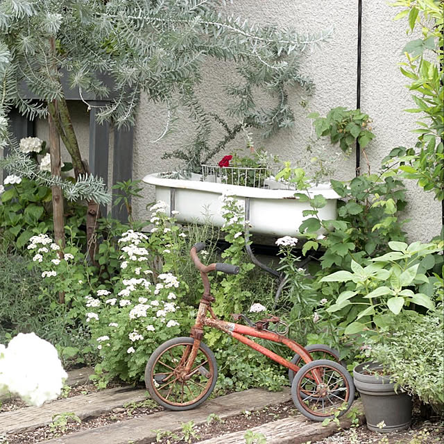 moco2_homeさんの実例写真
