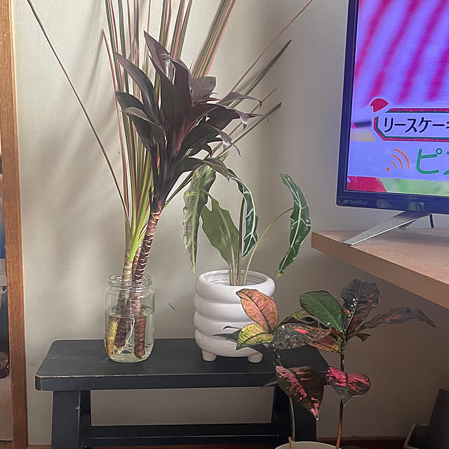 chiichanさんの実例写真