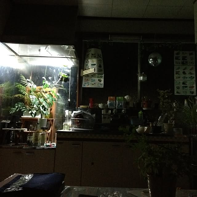 Tatsunosukeさんの実例写真