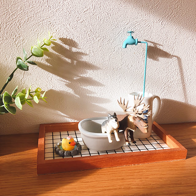 mangoさんの実例写真