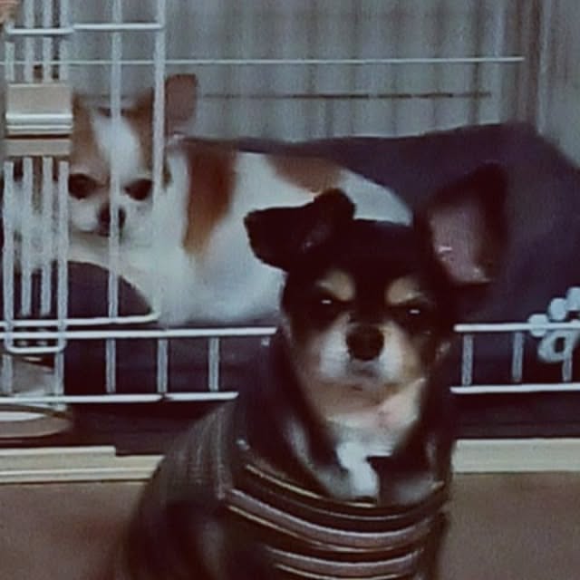 hiro.904さんの部屋