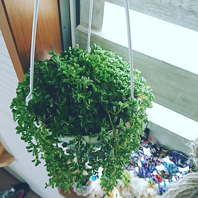 rinsさんの実例写真