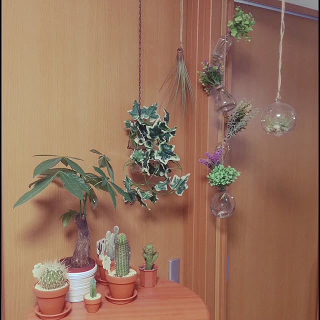 Takeさんの実例写真