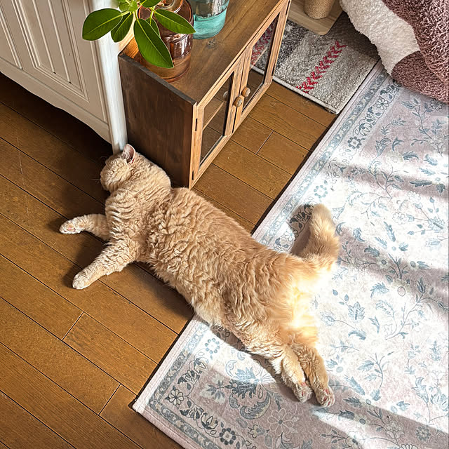 naokoさんの部屋