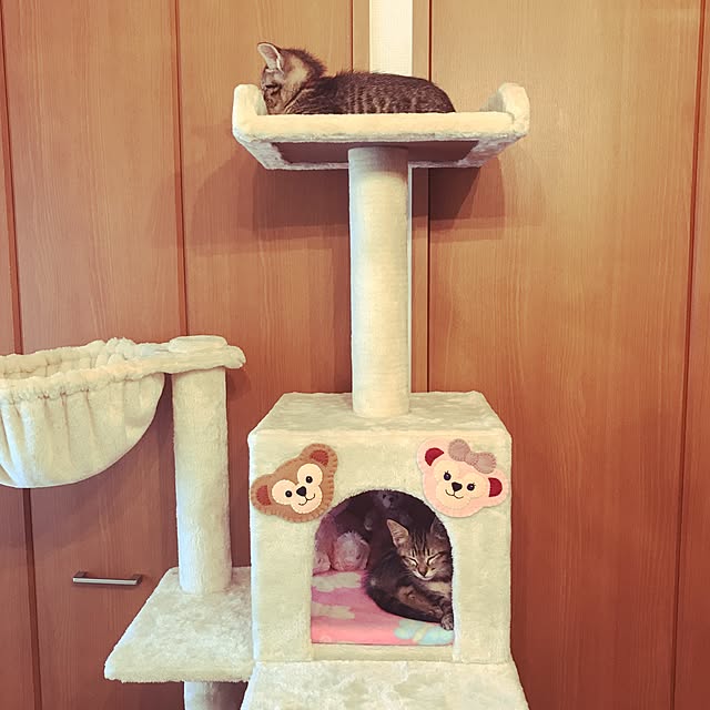emikoさんの実例写真