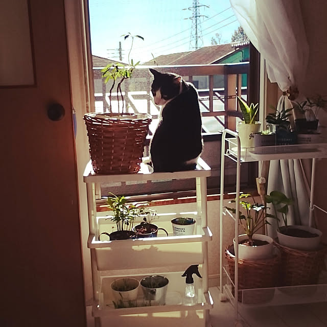 oseroさんの実例写真