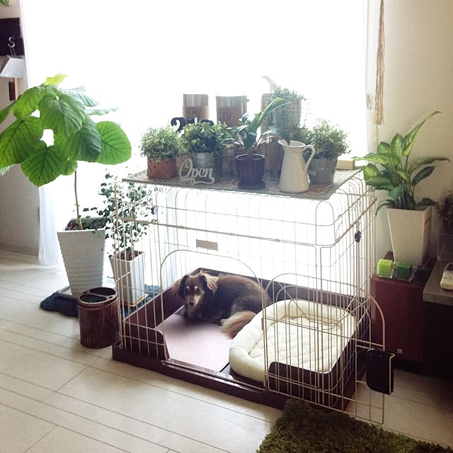 rikakoさんの実例写真