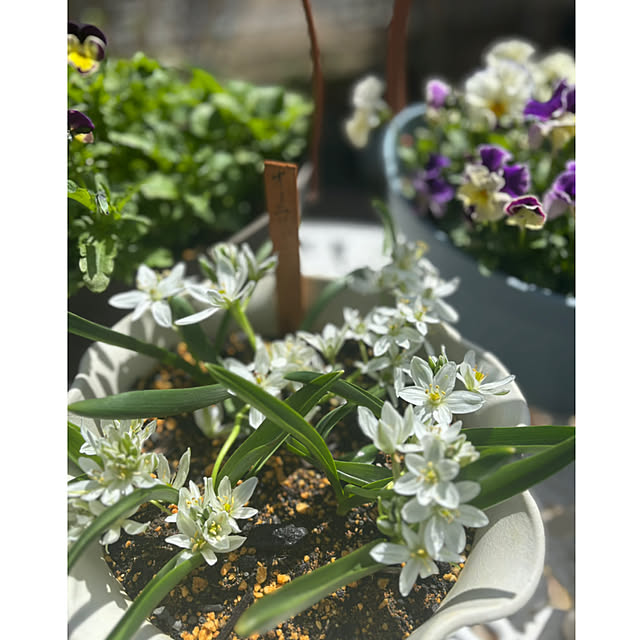 CoCo0617さんの部屋