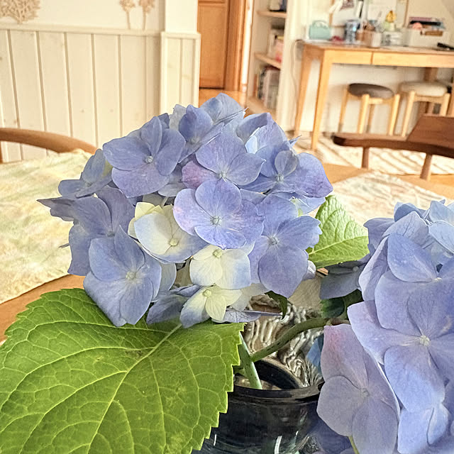 bestwishes.ryokoさんの部屋