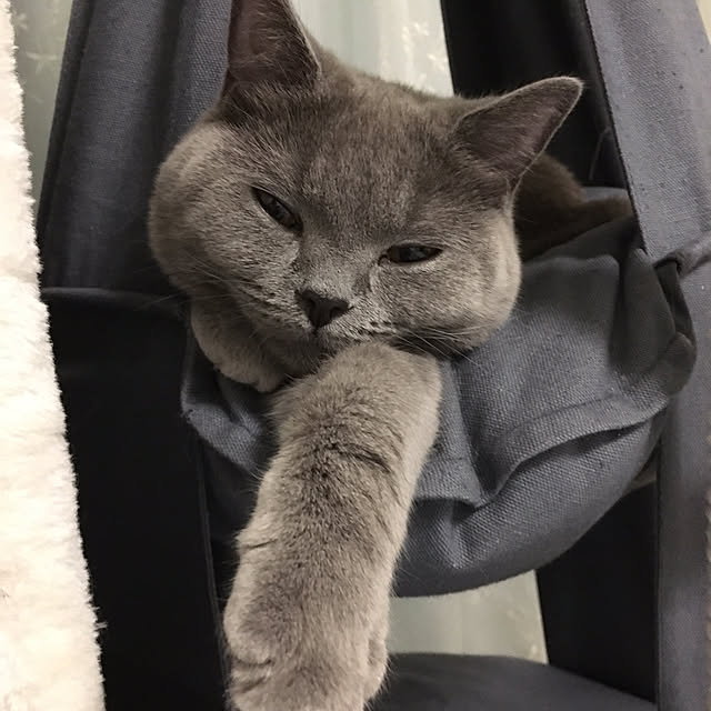 fionaさんの実例写真