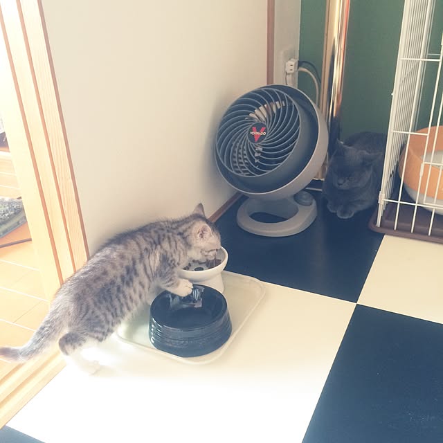 Shojiさんの実例写真
