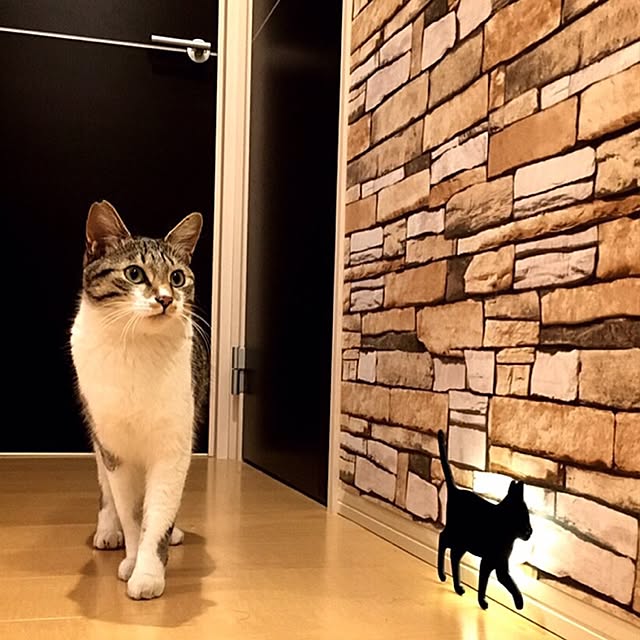 masatoseaさんの実例写真