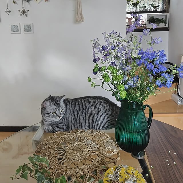 hiro3さんの実例写真